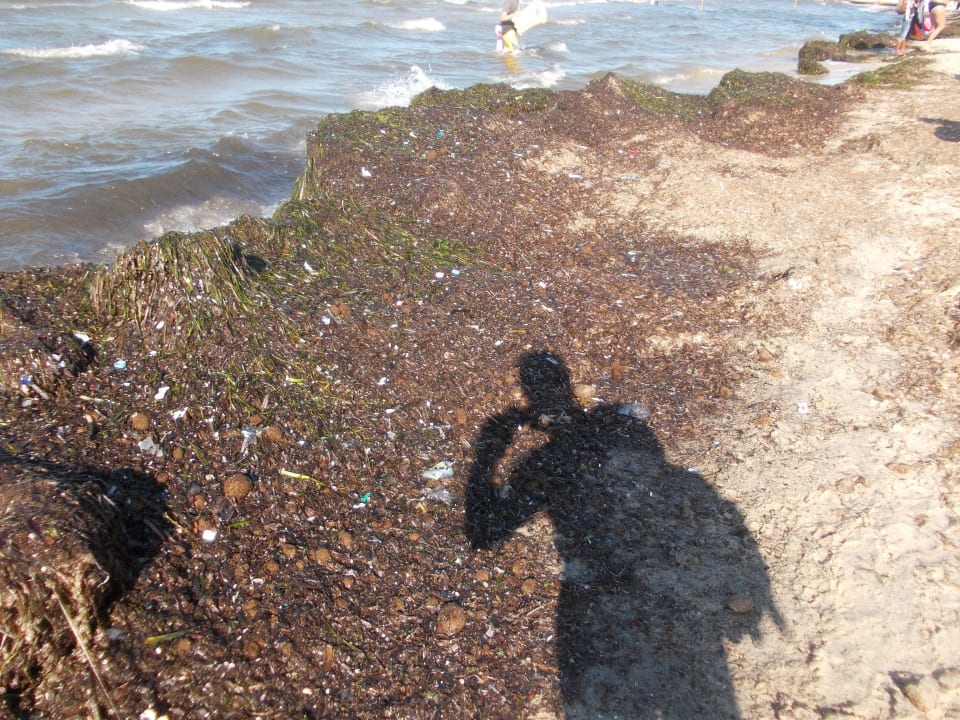 Der Strand ist tagelang nicht gereinigt worden! Hotel El Mouradi Skanes Beach
