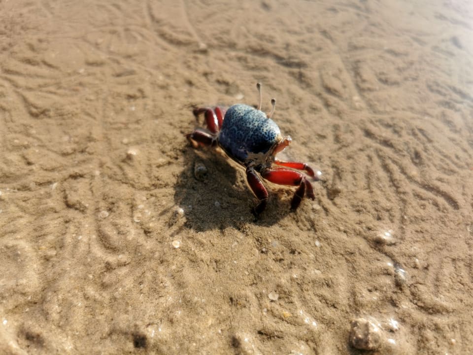 Strand Casa Mare Resort