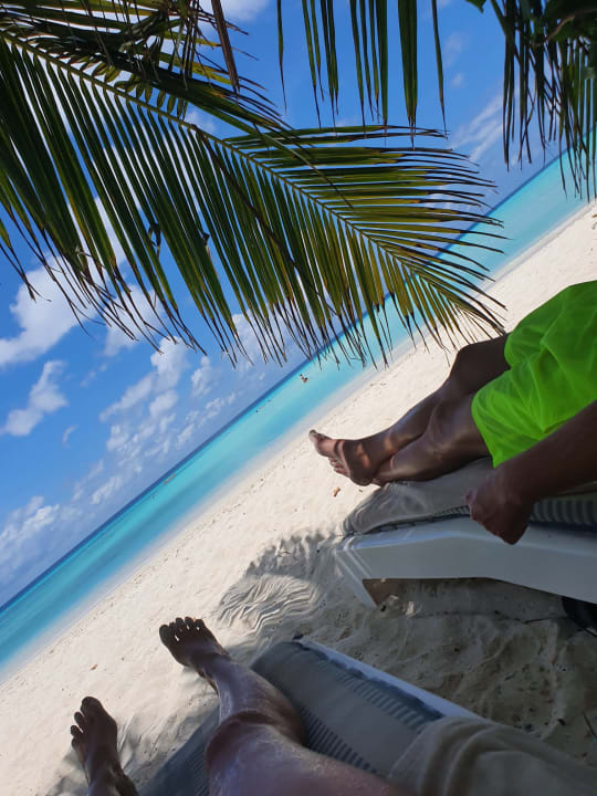 Strand Summer Island Maldives