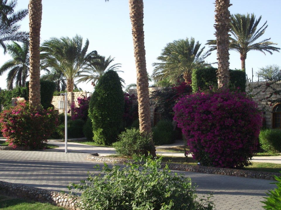 Die Gartenanlage Aladdin Beach Resort