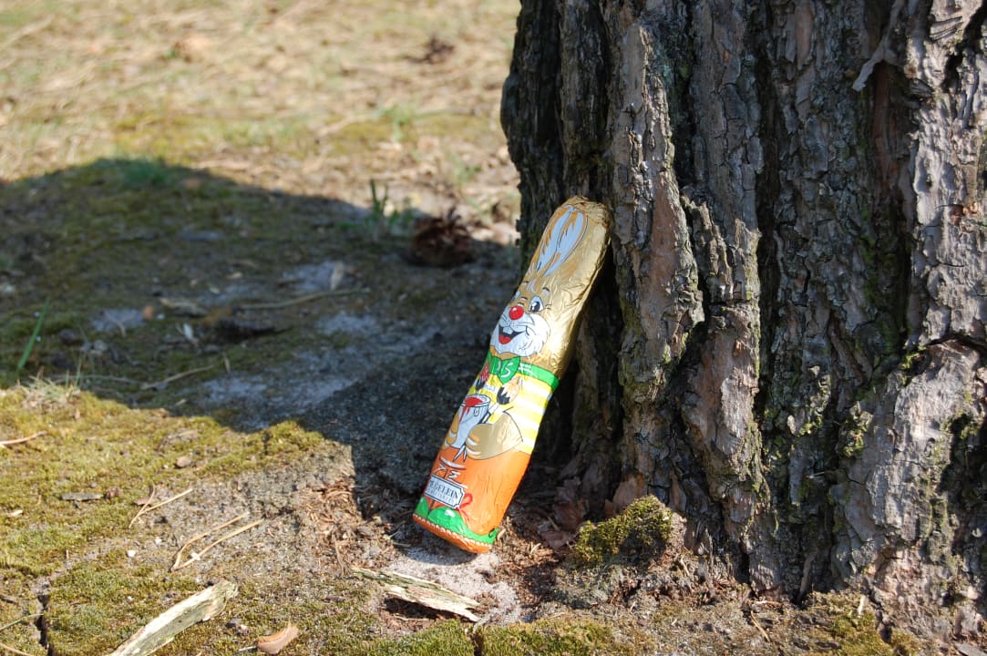 Sonstiges Campingpark Haddorfer Seen