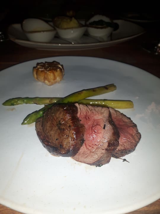 Gastro Acanthus Cennet Barut Collection