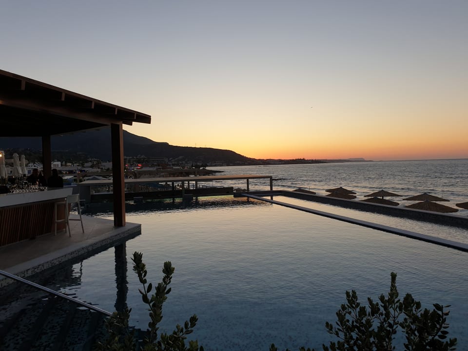 Pool Cactus Mare - Adults only