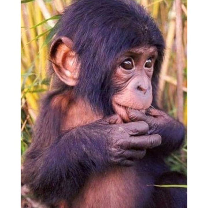 Zimmer Panoramic - Ihr Apartmenthotel im Harz