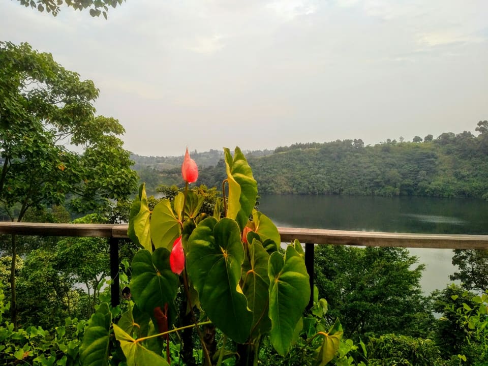 Ausblick Papaya Lake Lodge