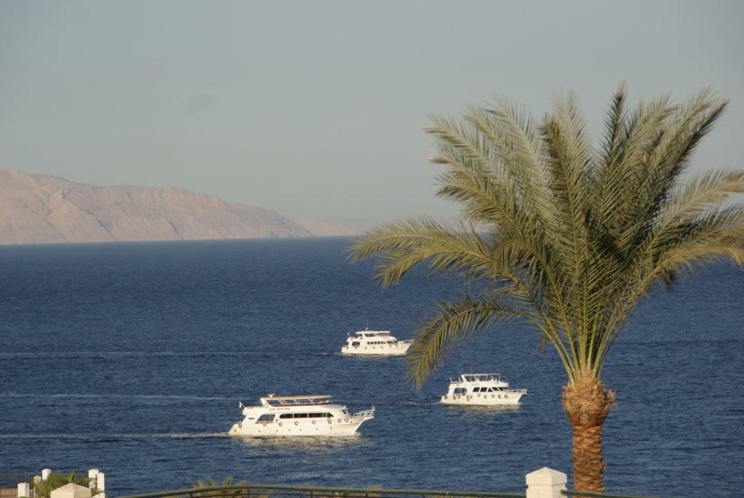 Widok z pokoju pokoju Safir Sharm Waterfalls Resort