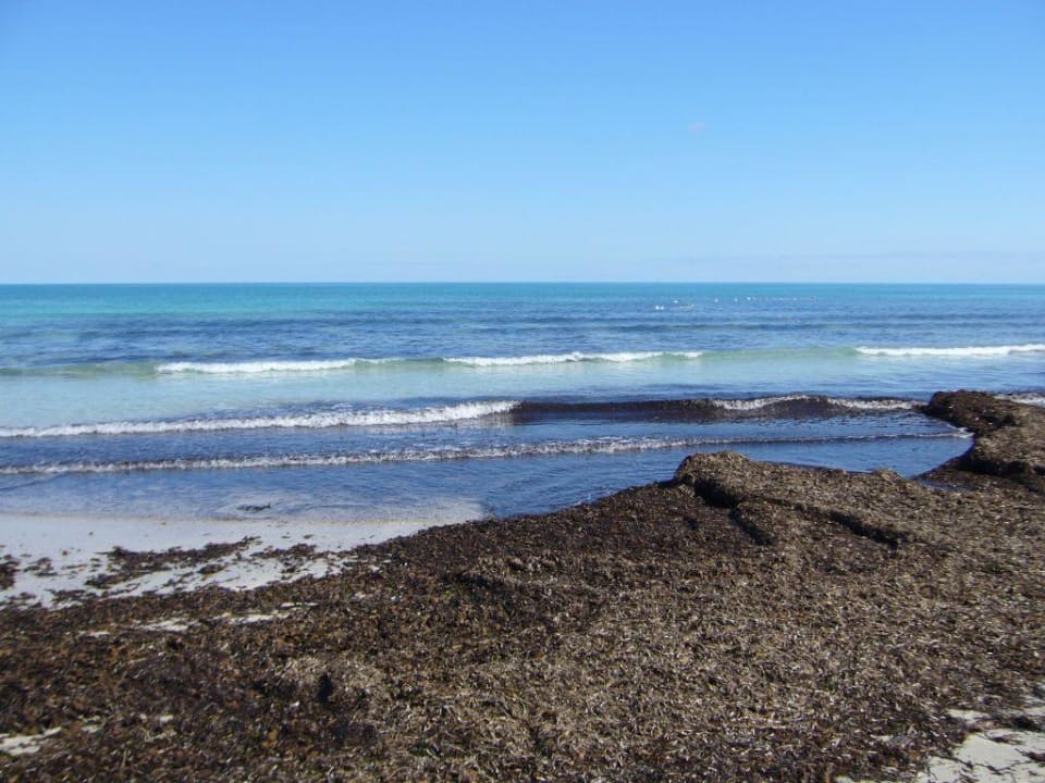 Strandbereich Aldiana Aldiana Club Djerba Atlantide