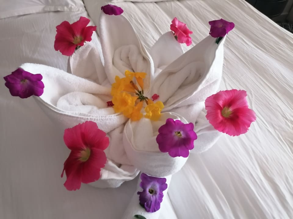 Zimmer Steigenberger Golf Resort El Gouna