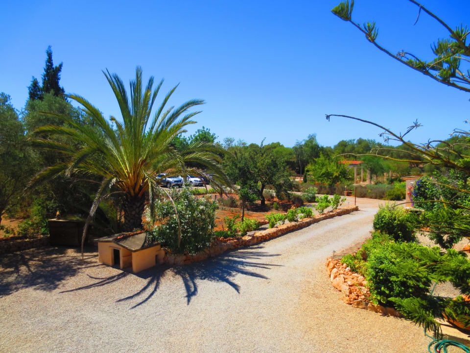 Ausblick vom Bad Fincahotel Son Baro