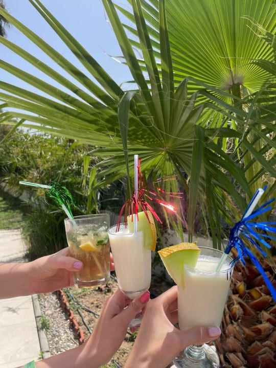 Gastro Hotel Süral Garden