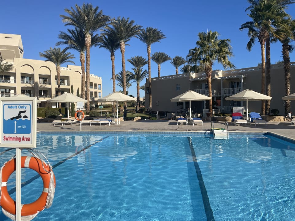 Pool Beach Albatros Resort
