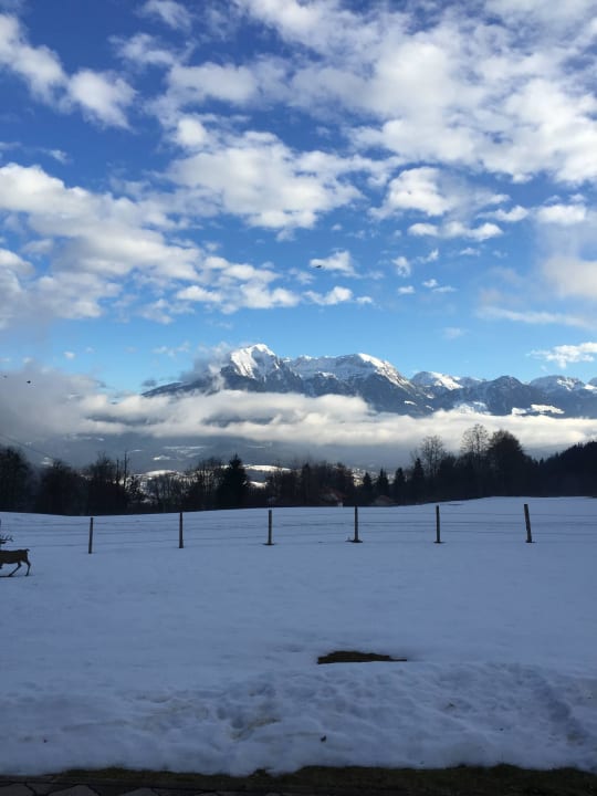 Bergsonne Pension Loiplstüberl