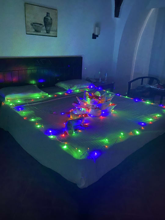 Zimmer Three Corners Sea Beach Resort