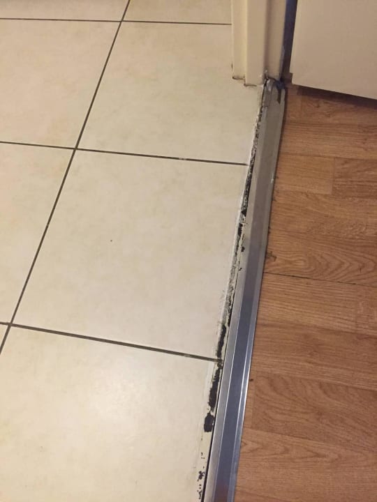 Schimmel überall Adagio City Aparthotel Nantes Centre