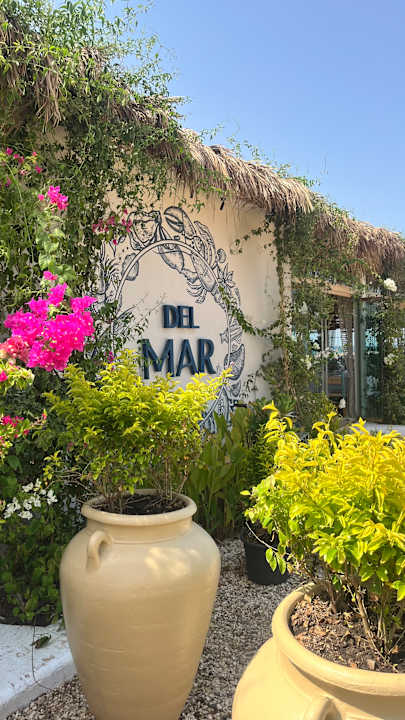 Außenansicht Desert Rose