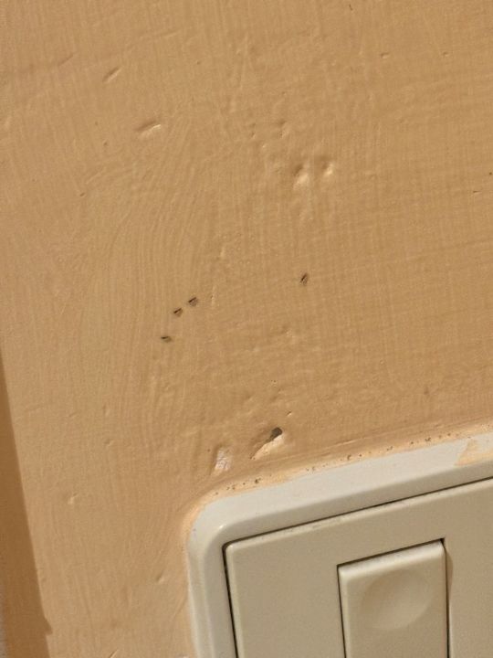 Zimmer SBH Costa Calma Beach Resort