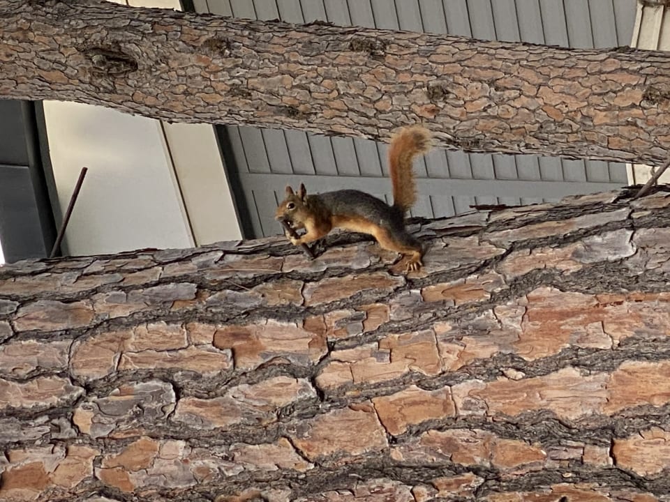 Sonstiges Voyage Belek Golf & Spa