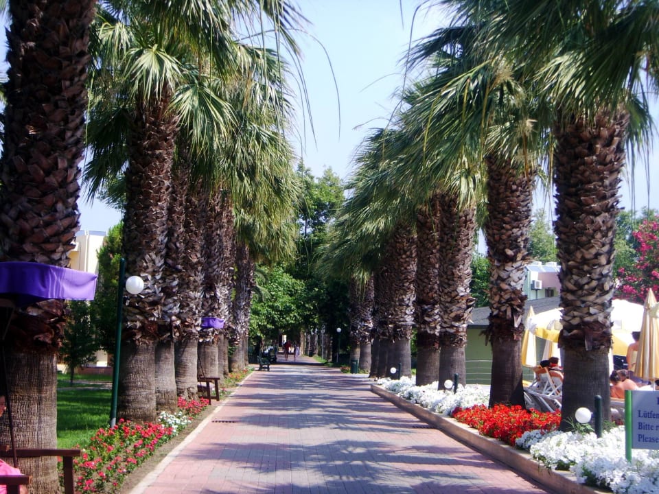 Palmenallee VONRESORT Golden Beach