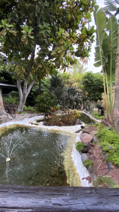 Gartenanlage Hotel Parque Tropical