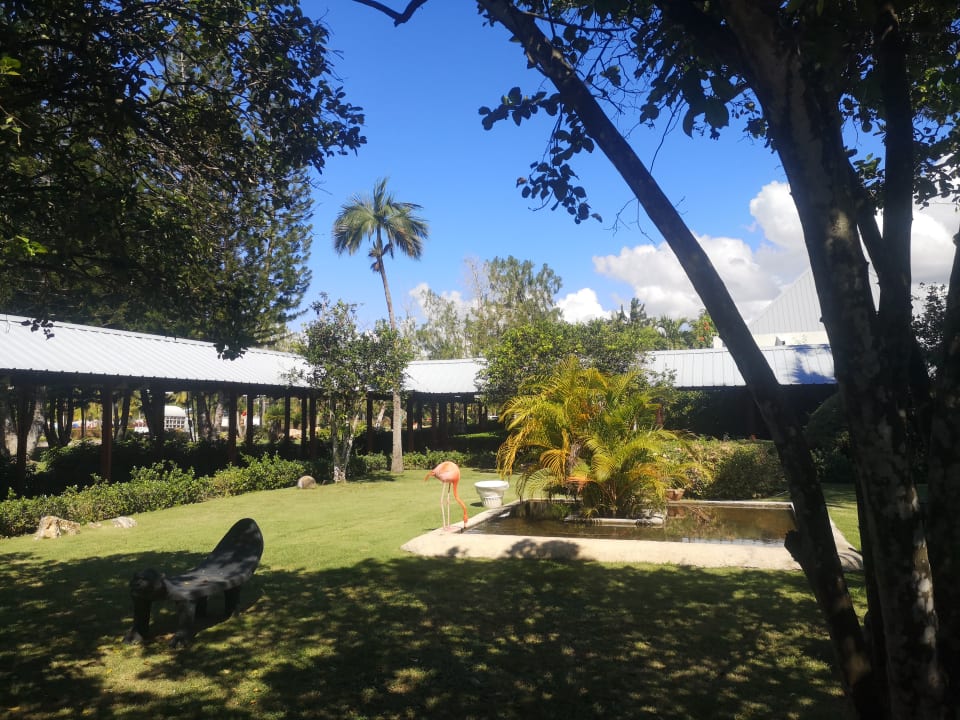 Gartenanlage Secrets La Romana Resort & Spa - Adult Only