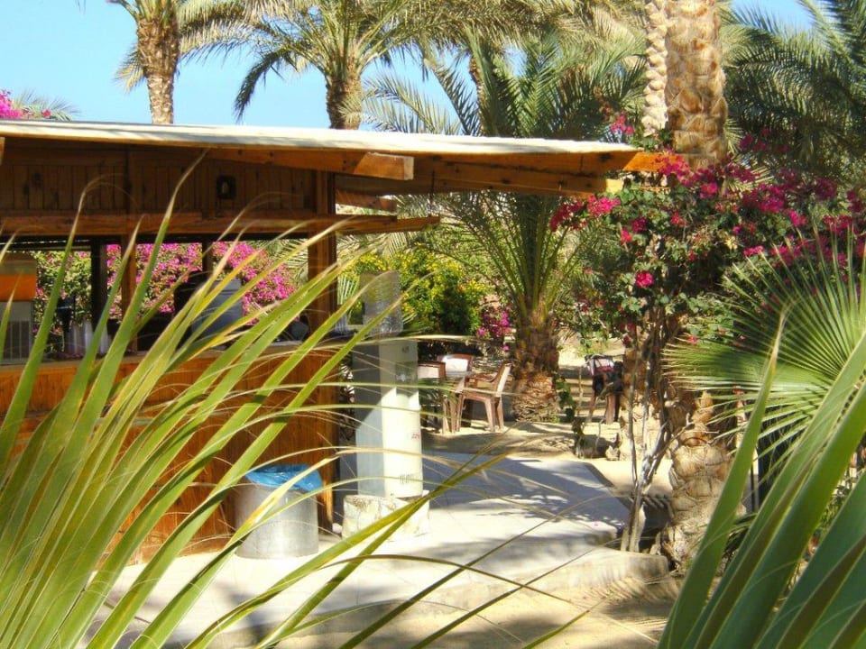 Strandbar Brayka Bay Resort