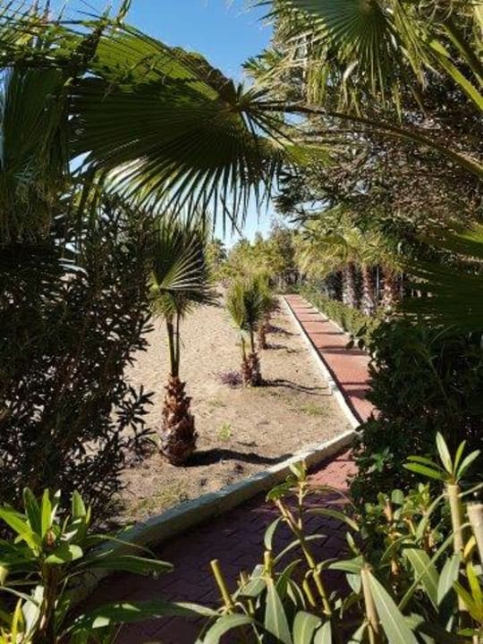 Garten Hotel Delphin Imperial