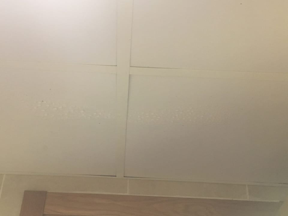 Zimmer FERGUS Style Bahamas