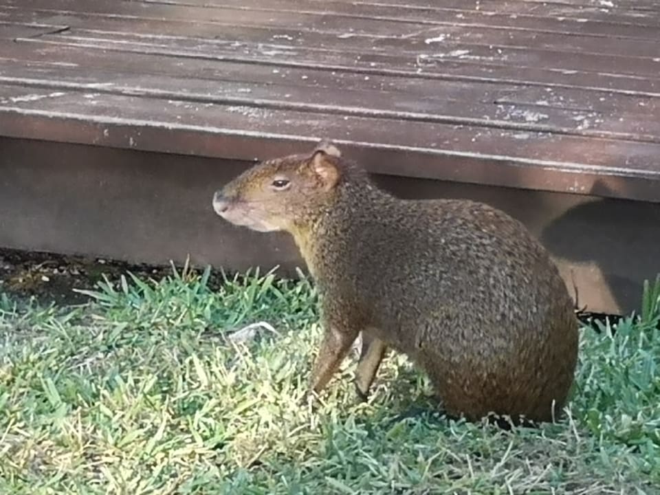 Sonstiges Akumal Bay Beach & Wellness Resort