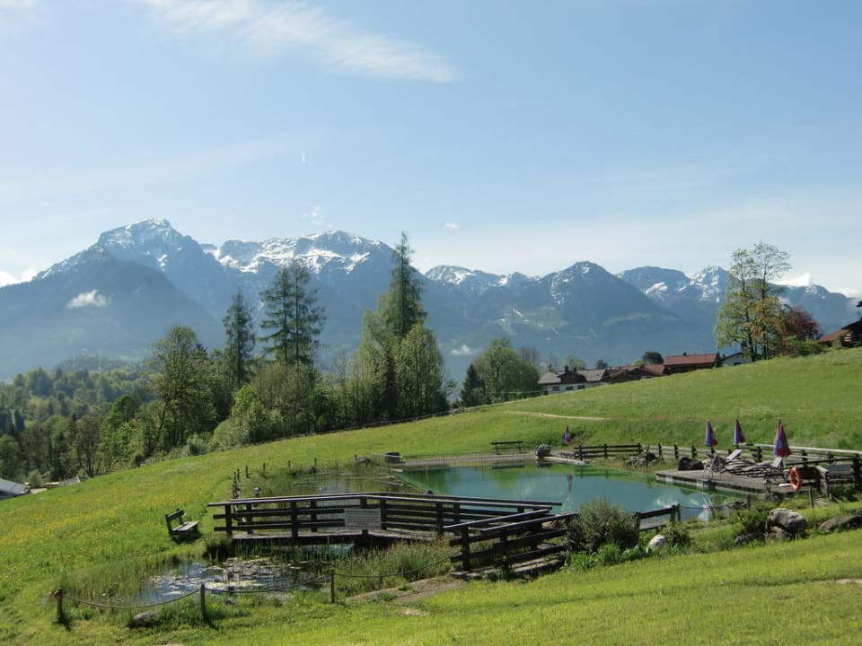 Naturteich mit Blick auf die Berge Naturhotel Reissenlehen