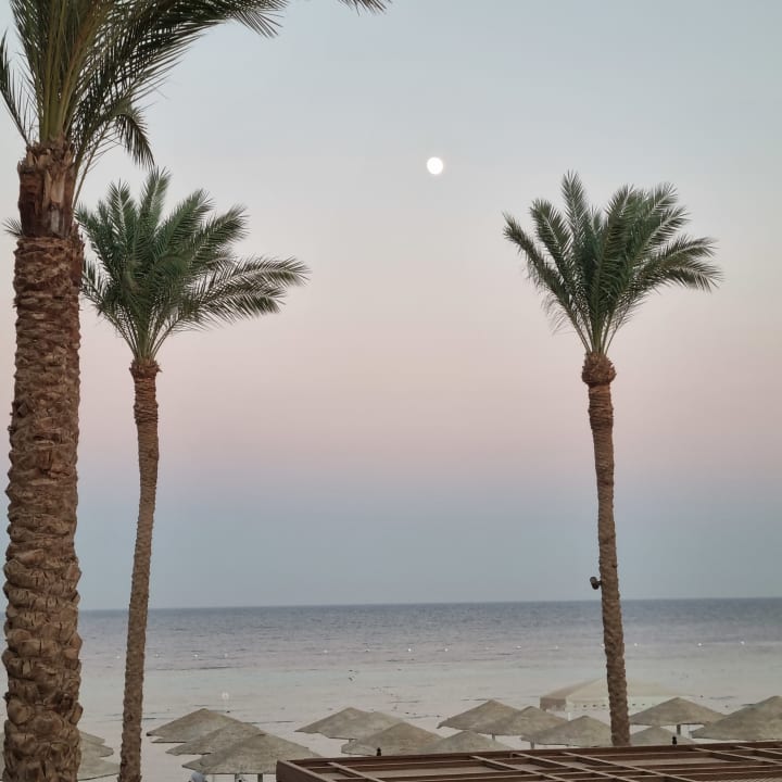 Außenansicht Makadi Spa - Adults only