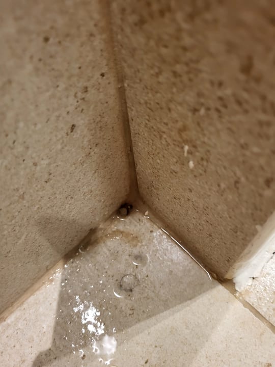 Zimmer Paralos Kyma Dunes