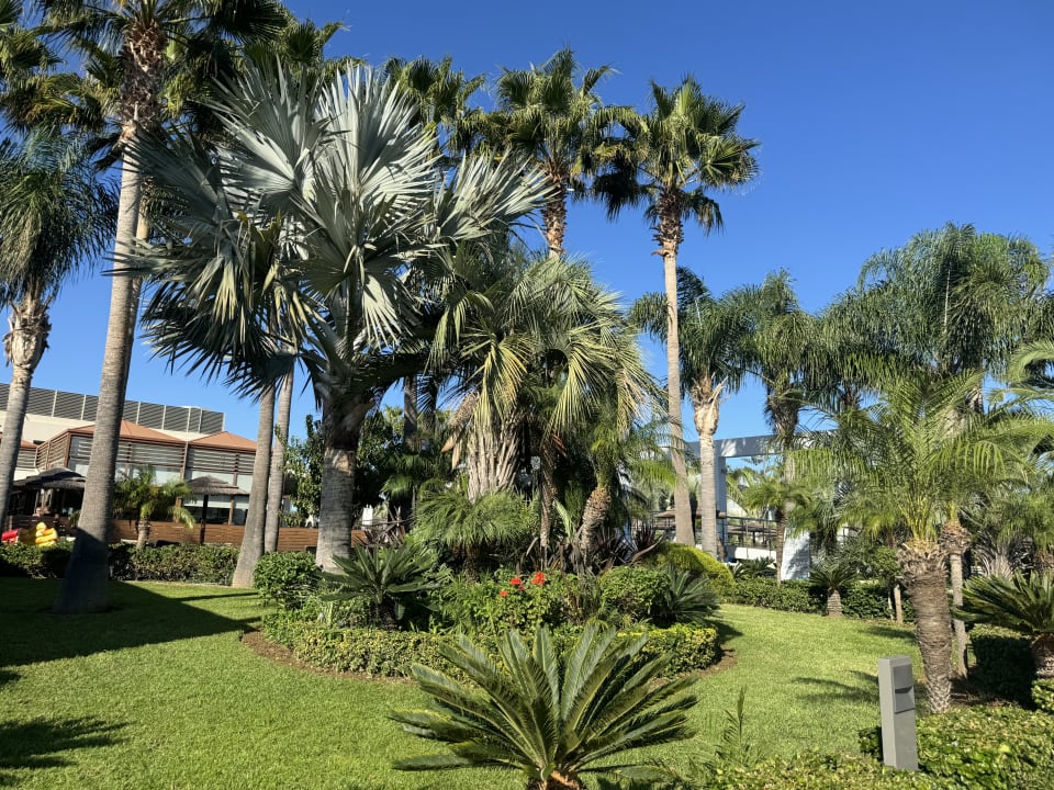 Gartenanlage Blue Lagoon Resort