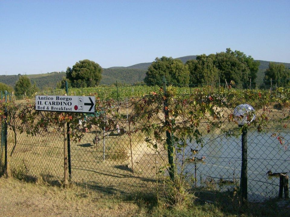 Ententeich vor der Hotelzufahrt Hotel Antico Borgo Il Cardino