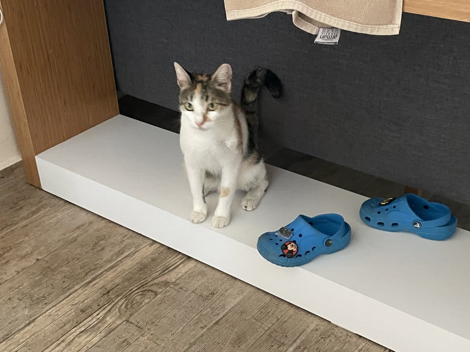 Sonstiges VONRESORT Golden Beach