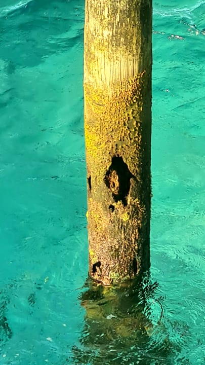 Sonstiges Angaga Island Resort
