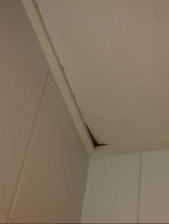 Moisissure Hotel Astra Opera Astotel