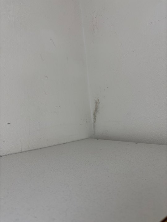 Zimmer Hotel Alexander House