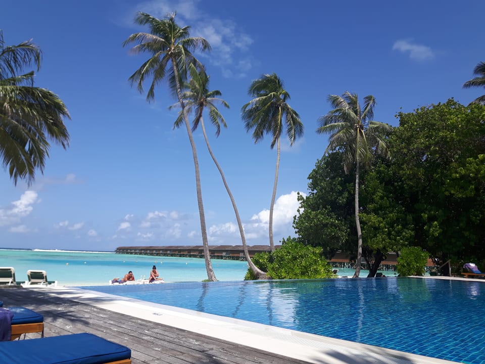 Pool Meeru Maldives Resort Island