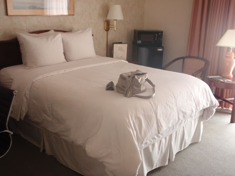 DZ Hollywood Hotel - The Hotel of Hollywood