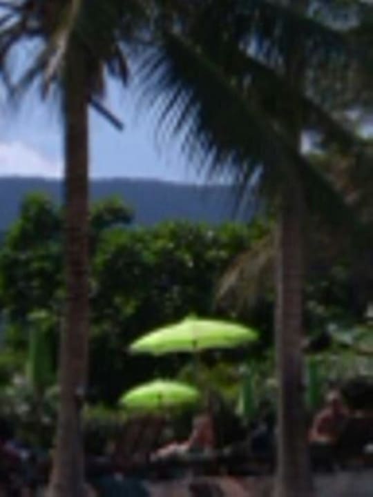 Beach Hotel Dreamland Resort