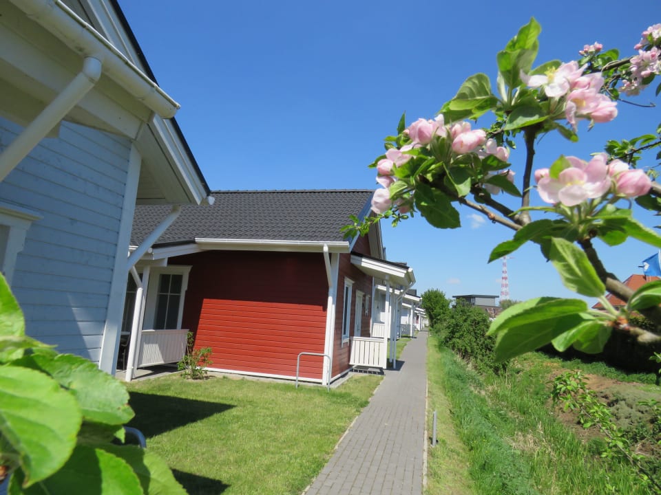 Außenansicht Feriendorf Altes Land