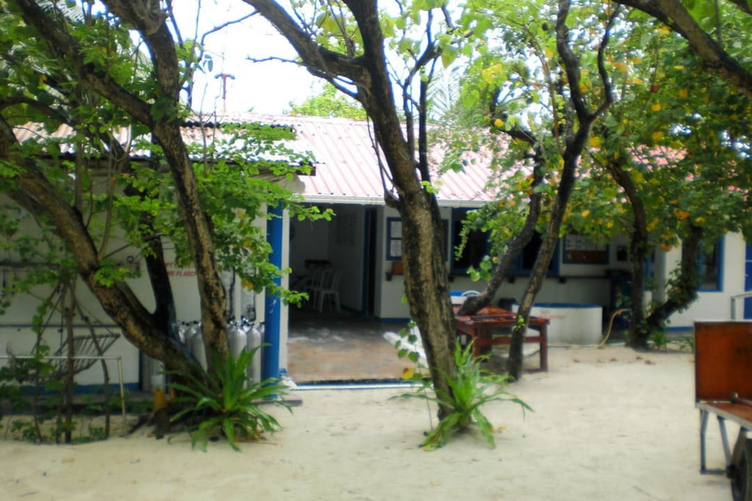 Diverland Summer Island Maldives