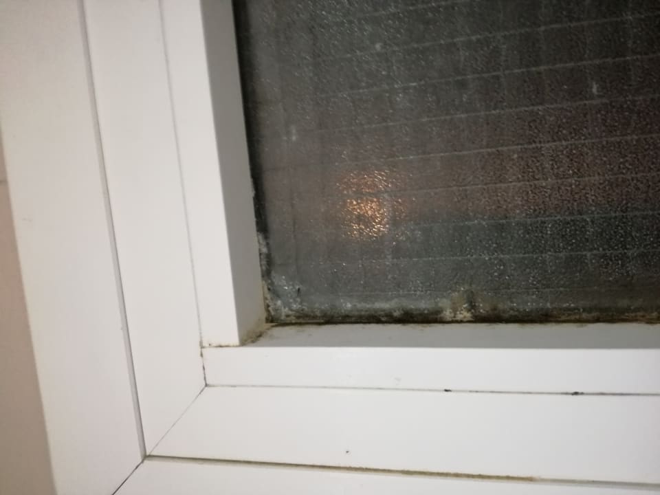 Zimmer Playabachata Hotel