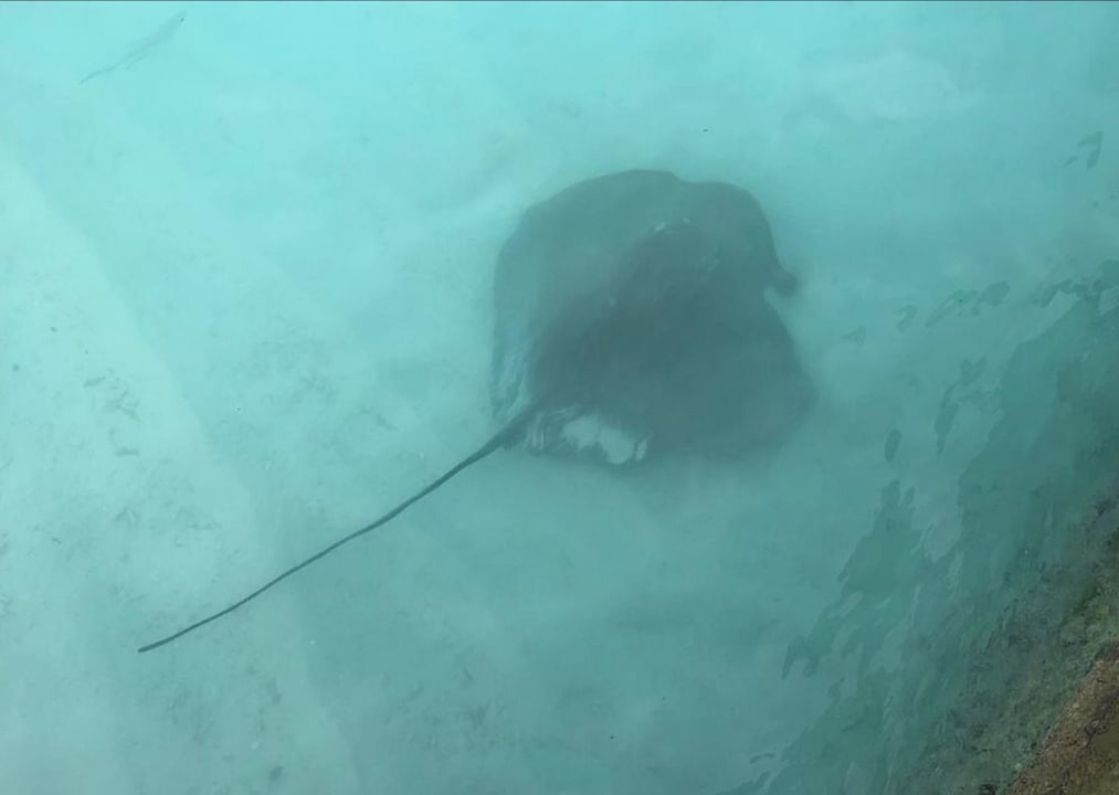 Sonstiges NH Collection Maldives Reethi Resort