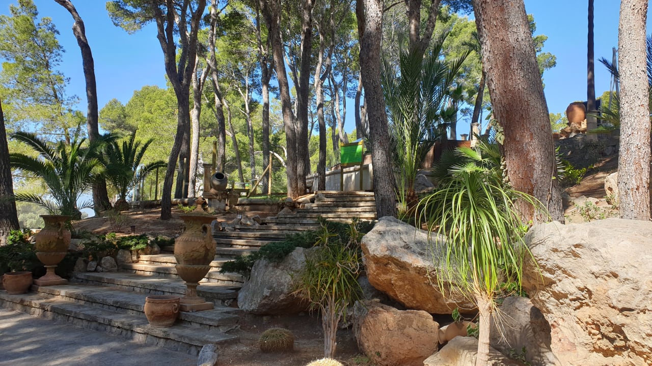 Gartenanlage allsun Hotel Bella Paguera