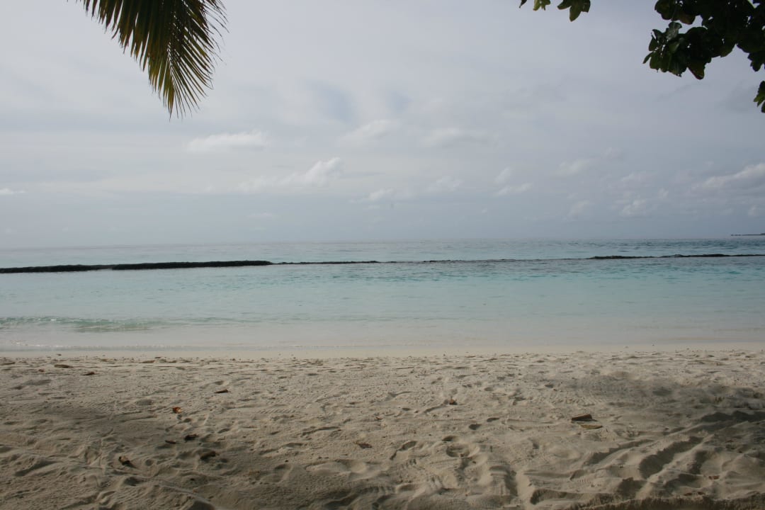 Lagunenseite Kuramathi Maldives