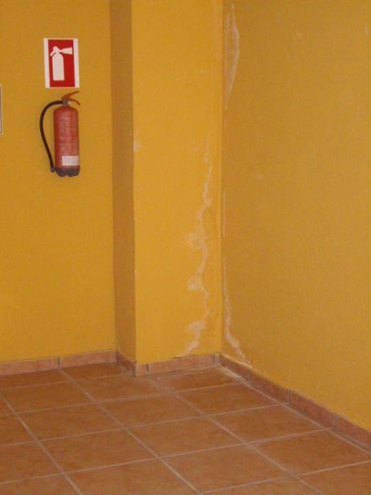 4 Sterne Hotel SBH Club Paraiso Playa