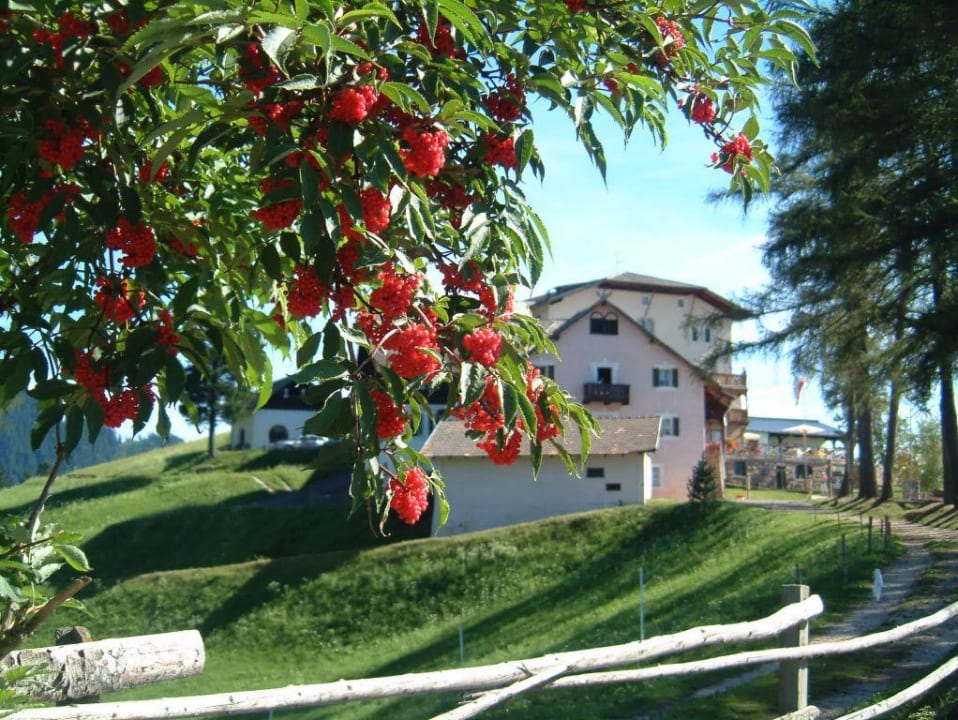 Aussicht/Ausblick Hotel Zirmerhof