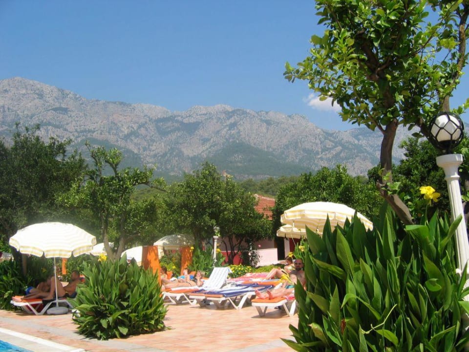 Poollandschaft Armas Gül Beach