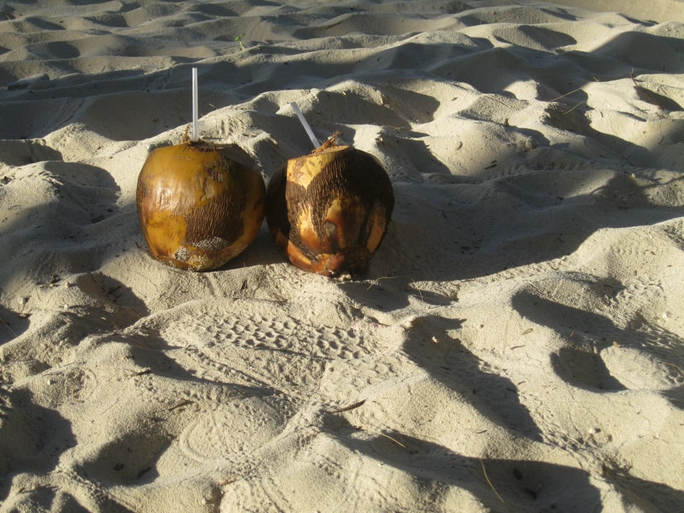 Sonstiges Hotel Viva Dominicus Beach by Wyndham - All Inclusive Resort